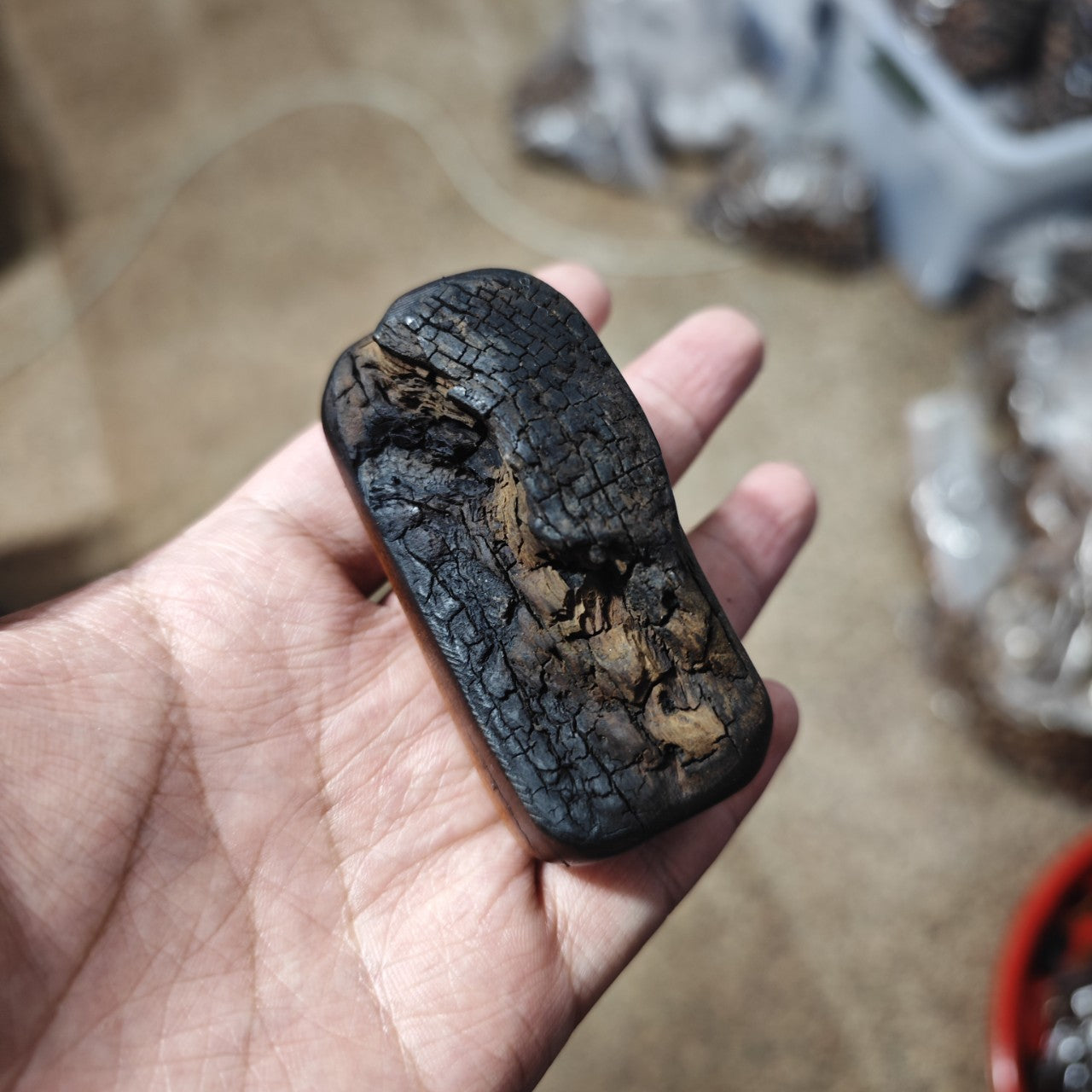Irregular Lightning-Struck Jujube Wood Daoist Talisman for Peace and Protection