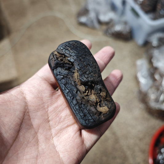Irregular Lightning-Struck Jujube Wood Daoist Talisman for Peace and Protection