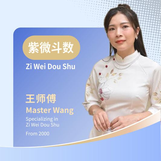 Zi Wei Dou Shu Life Prediction Analysis Service by Wang Master
